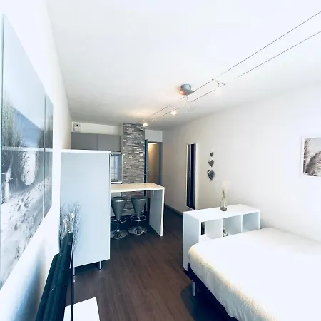 *le Cityzen*15min Du Centre A Pied+parking Gratuit